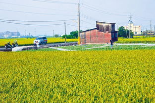 立院修法 农地可盖初级加工场